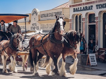 Ballarat Discovery Day Tour